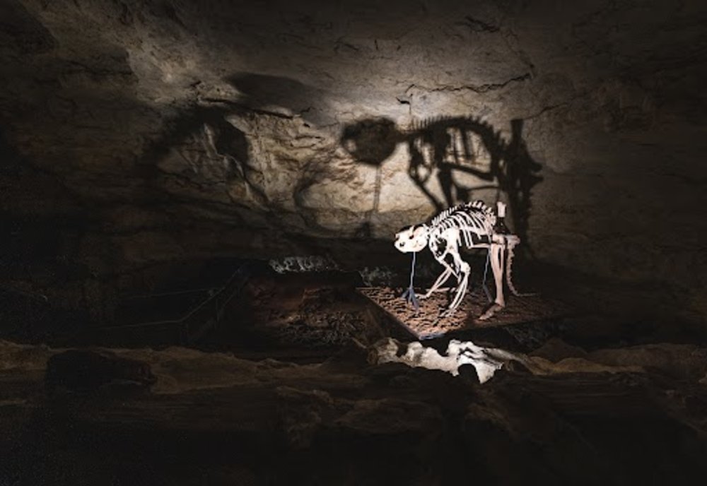 AUS オーストラリアの哺乳類化石地域