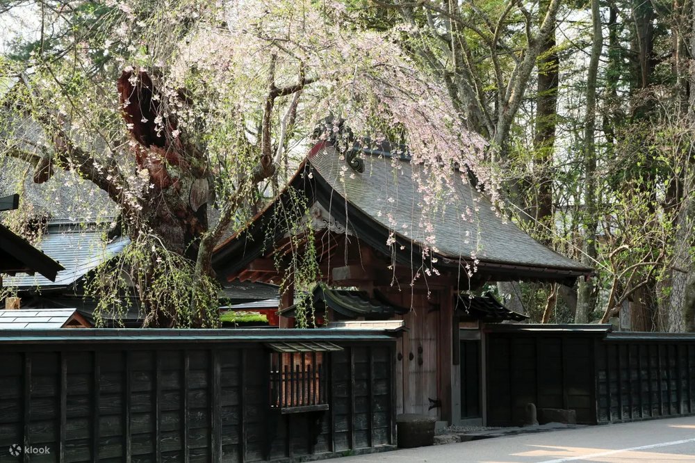 Leave captivated by the cherry blossoms at Shozan Resort, Mt. Akagi. Photo: @kaeeru13 (Instagram)