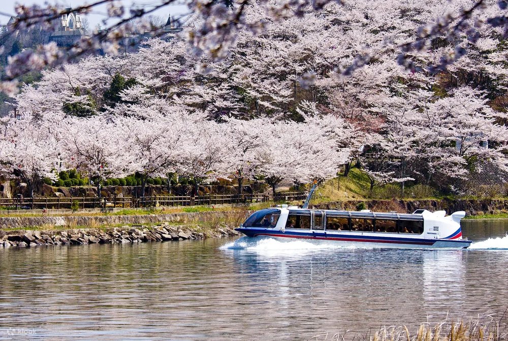 Cruise along Takato Joshi Park's cherry blossom-adorned pond.
