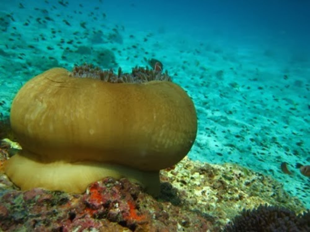 เครดิตภาพ : thailandtourismdirectory.go.th