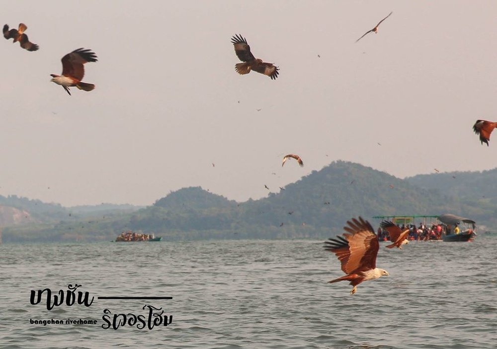 เครดิตภาพ : ระบบฐานข้อมูลท้องถิ่น สำหรับสืบค้นข้อมูล ทางด้านศิลปวัฒนธรรม จังหวัดจันทบุรี
