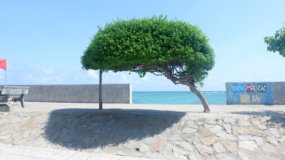 Đảo Phú Quý Bình Thuận