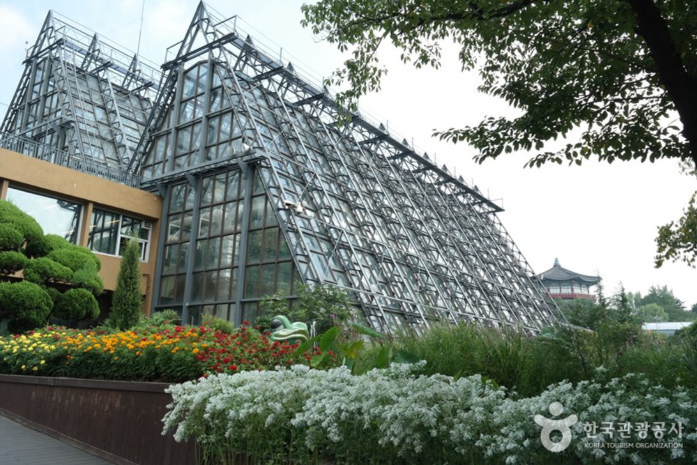 韓國櫻花, 首爾櫻花, 兒童大公園, 首爾 櫻花 時間, 首爾4月櫻花