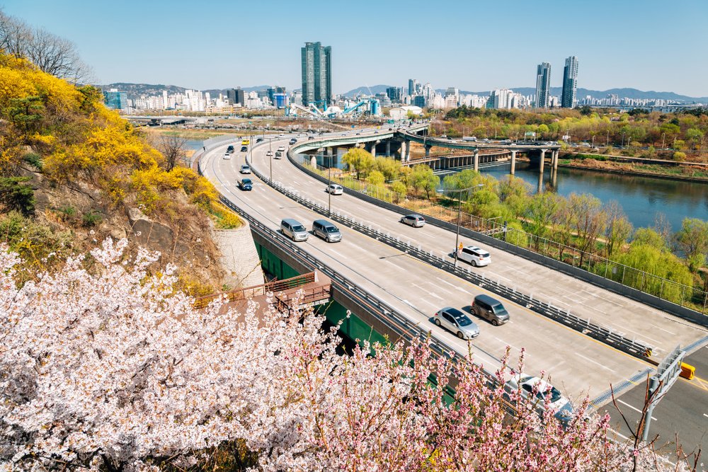 what to expect in korea for spring