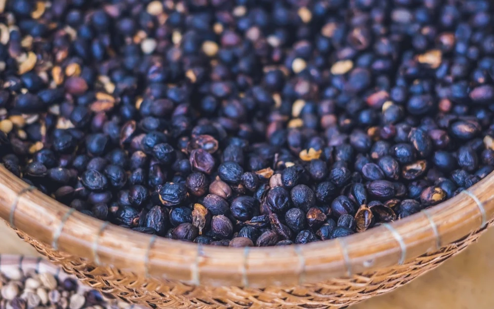  Cà Phê Kopi Luwak – Món Quà Lưu Niệm Đậm Chất Bali