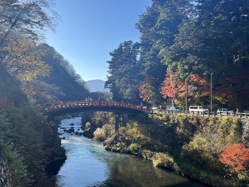 shinkyo bridge in the day time during autumn