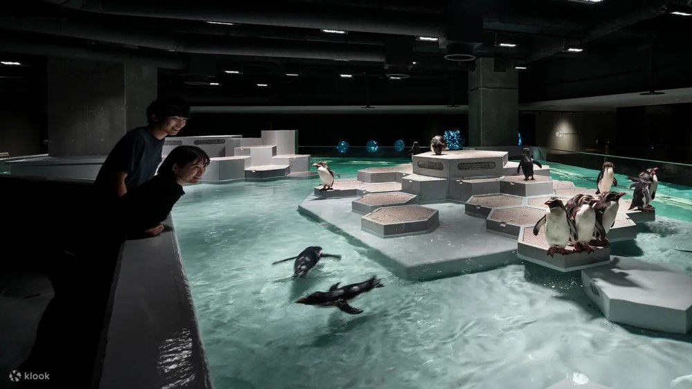 AQUARIUM PARK AOAO SAPPORO (Hokkaido)