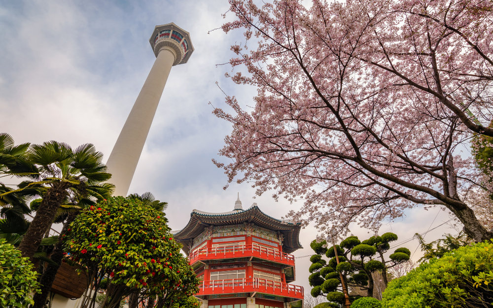 Du Lịch Busan Mùa Nào Đẹp Nhất?