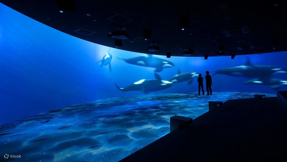 札幌景點北海道AOAO札幌水族館