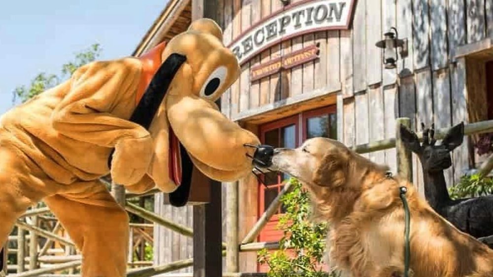 Stay cosy at the cabins in Disney’s Davy Crockett Ranch. Image credits to @wdwnt on Instagram