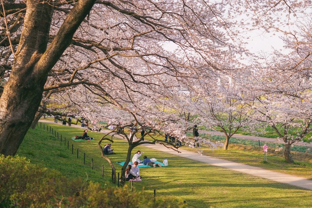 People on picnic mats in spring