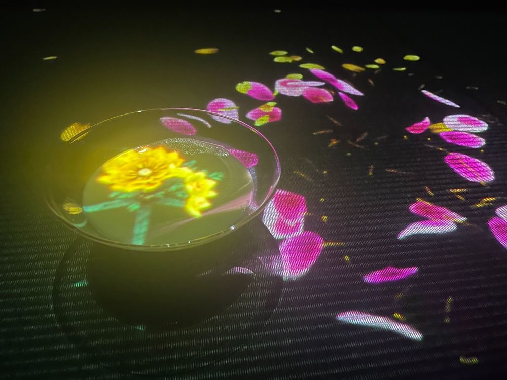 teamlab Borderless　花びら