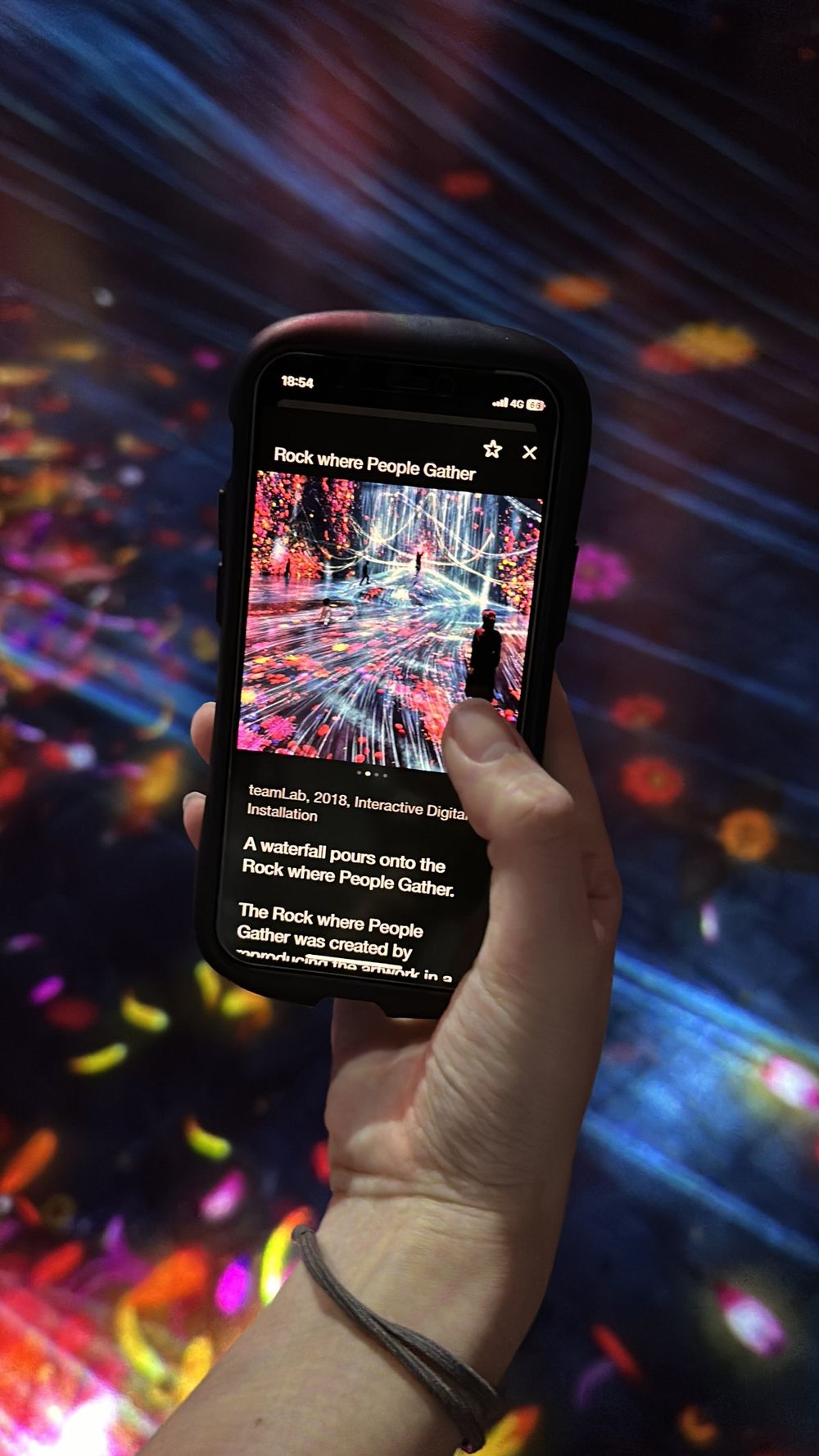 teamlab Borderless　スマホガイド