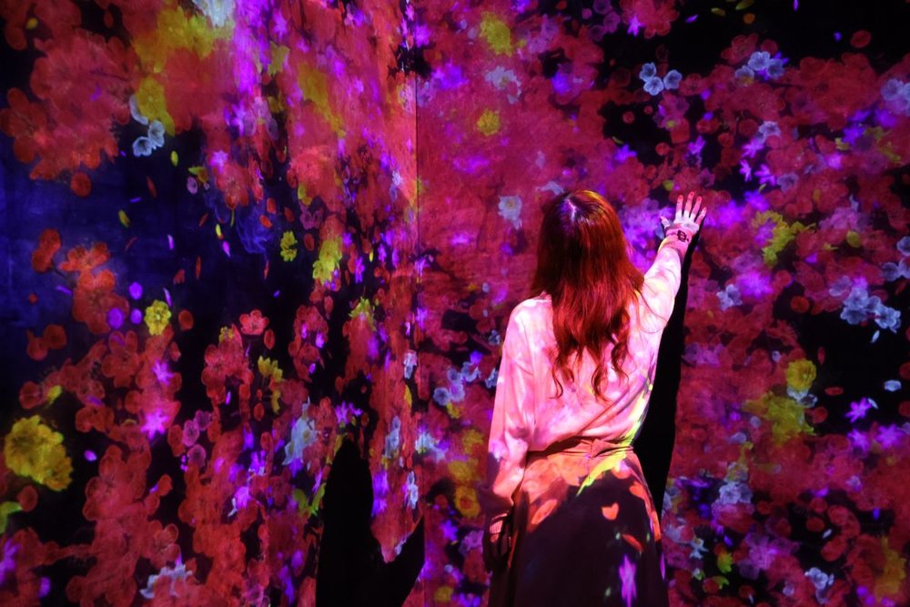 teamlab Borderless　壁に触れる女性