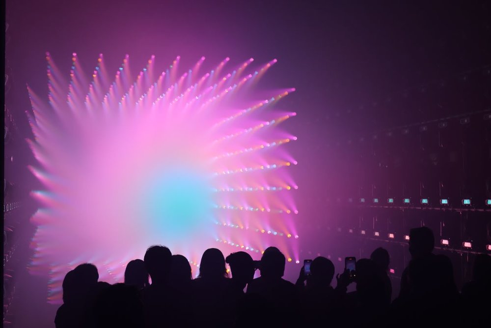 teamlab Borderless　アートと観客