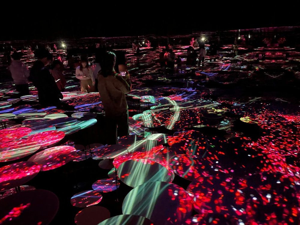 teamlab Borderless　アートの中の人々