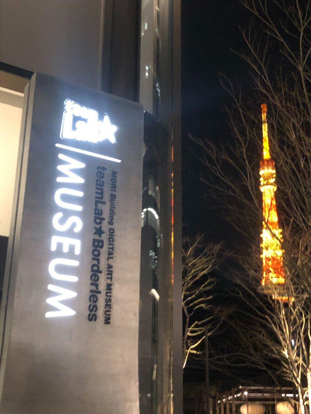 teamlab Borderless　看板と東京タワー