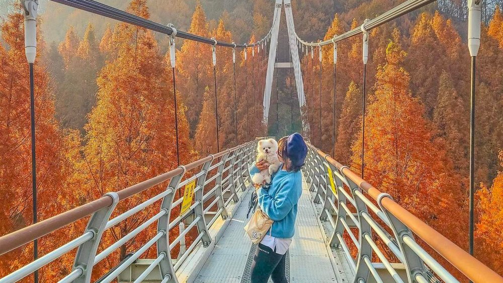 Jeonju Hanok Village, Jangtaesan, and Daedunsan Tour