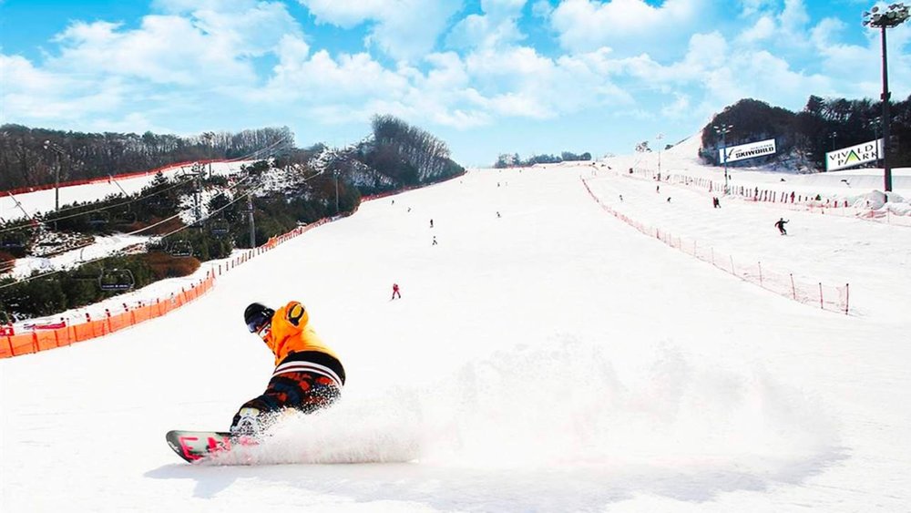 Vivaldi Park Ski Resort and Snowboard Lesson Tour