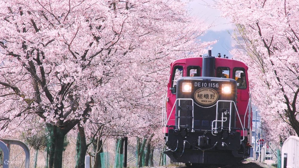 Sagano Scenic Railway!