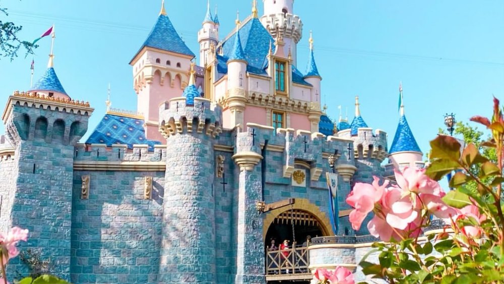 Enjoy a gnarly time at the happiest place on earth! Credits to @bank_anusith on Instagram