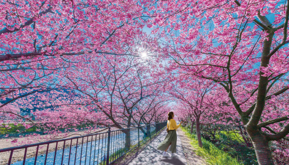 Girl surrounded by cherry blossoms