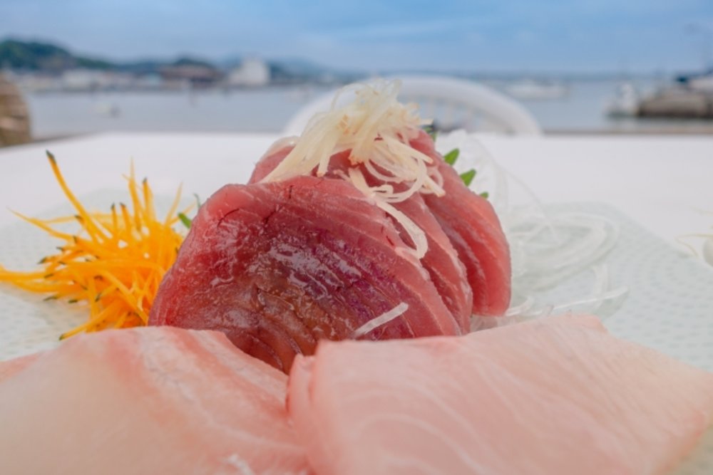 三浦　三浦海岸　マグロ丼