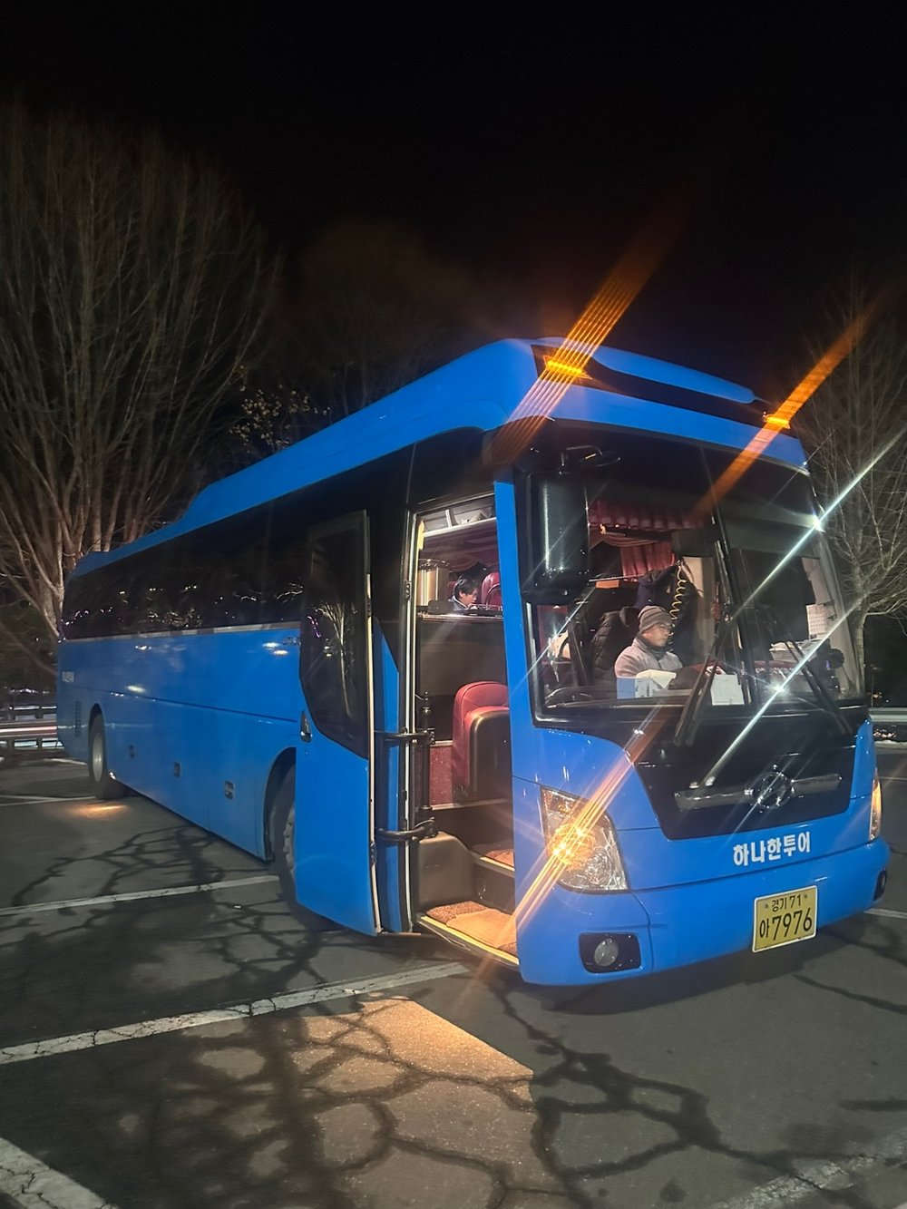 Jinhae Cherry Blossom Festival 2025 Best Spots, How to Get There, What to Expect, and More