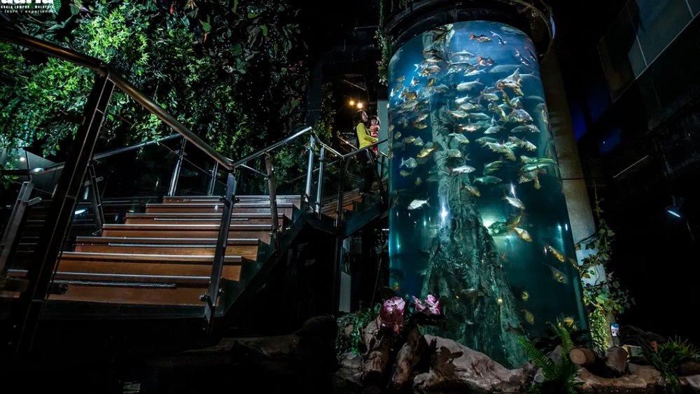 thuy-cung-aquaria-klcc