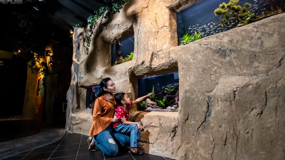 thuy-cung-aquaria-klcc