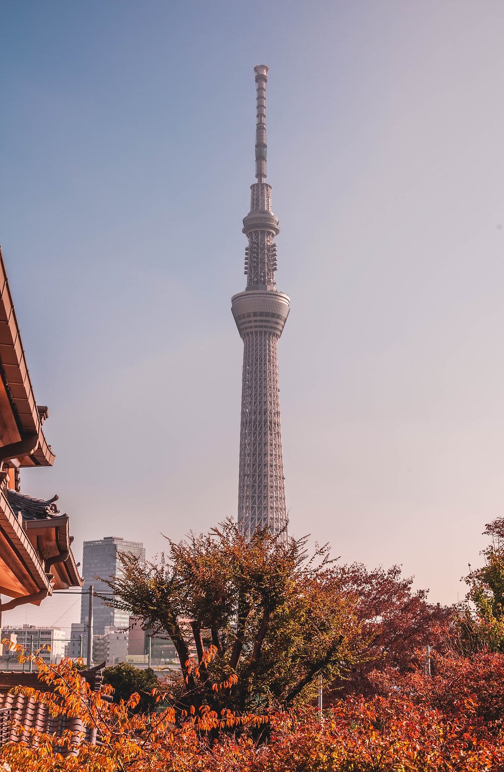 tokyo-tower-main-observatory-ticket-tokyo-2024-feb-4911