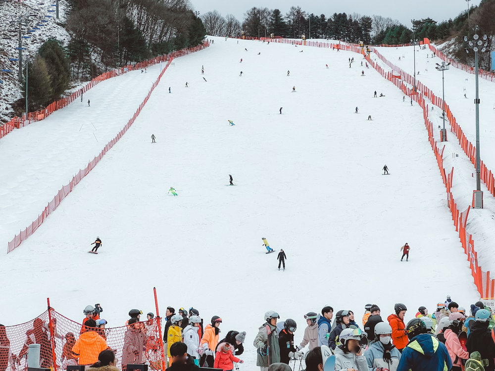 People skiing