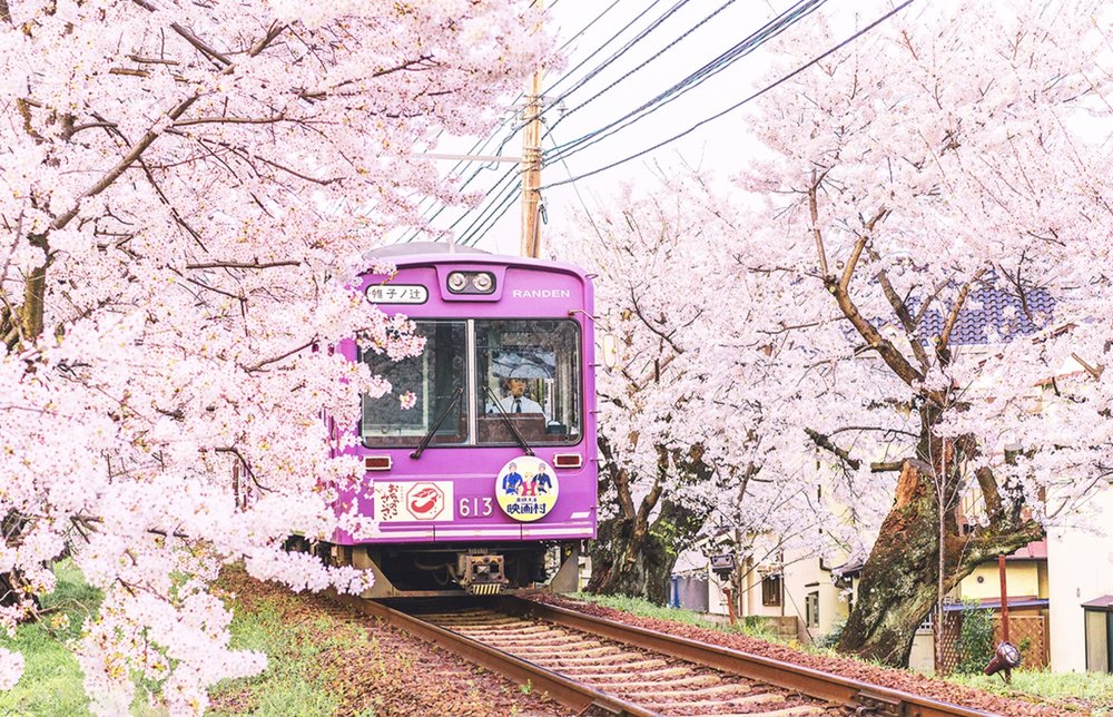 Pink train