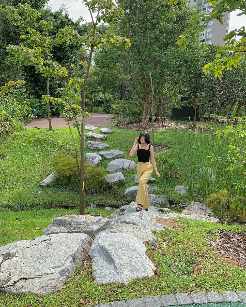 Jurong Lake Gardens free place to visit in Singapore