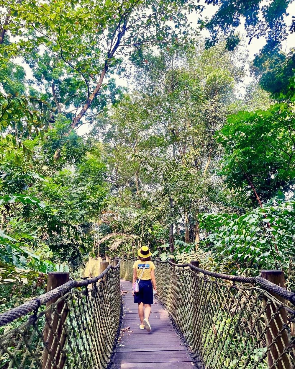 Sungei Buloh Wetland Reserve free place to visit in Singapore