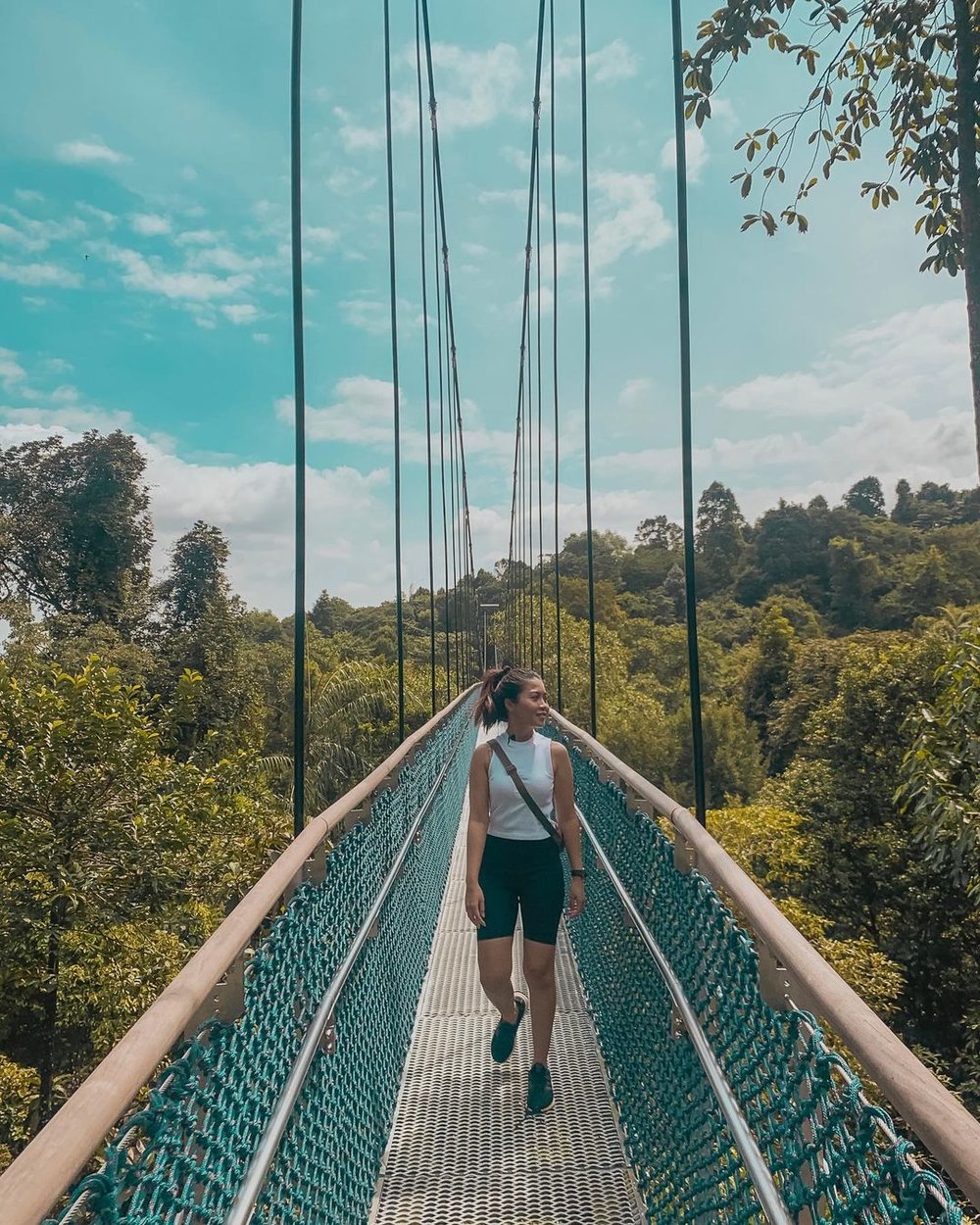 MacRitchie TreeTop Walk free place to visit in Singapore