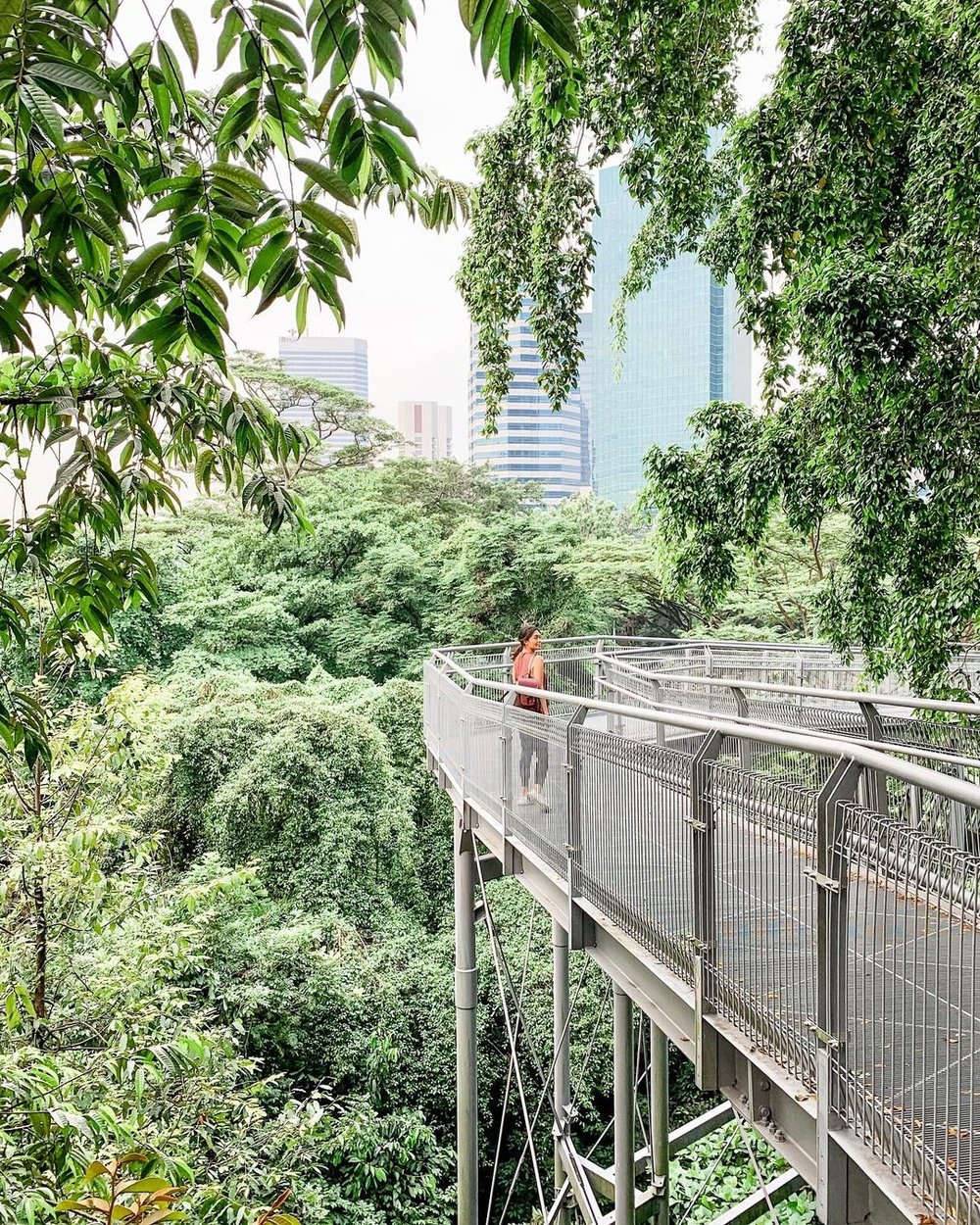 Southern Ridges free place to visit in Singapore
