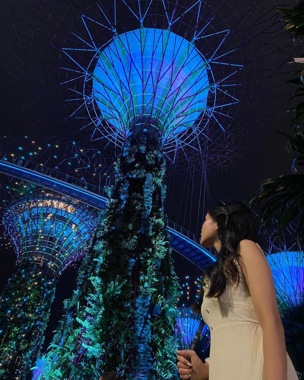 Supertree Grove in Gardens by the Bay free place to visit in Singapore