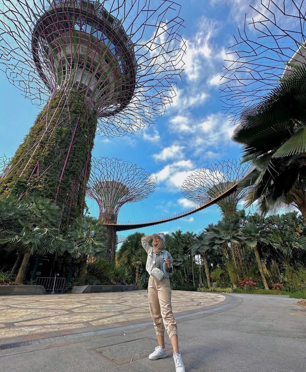 Supertree Grove in Gardens by the Bay free thing to do in Singapore