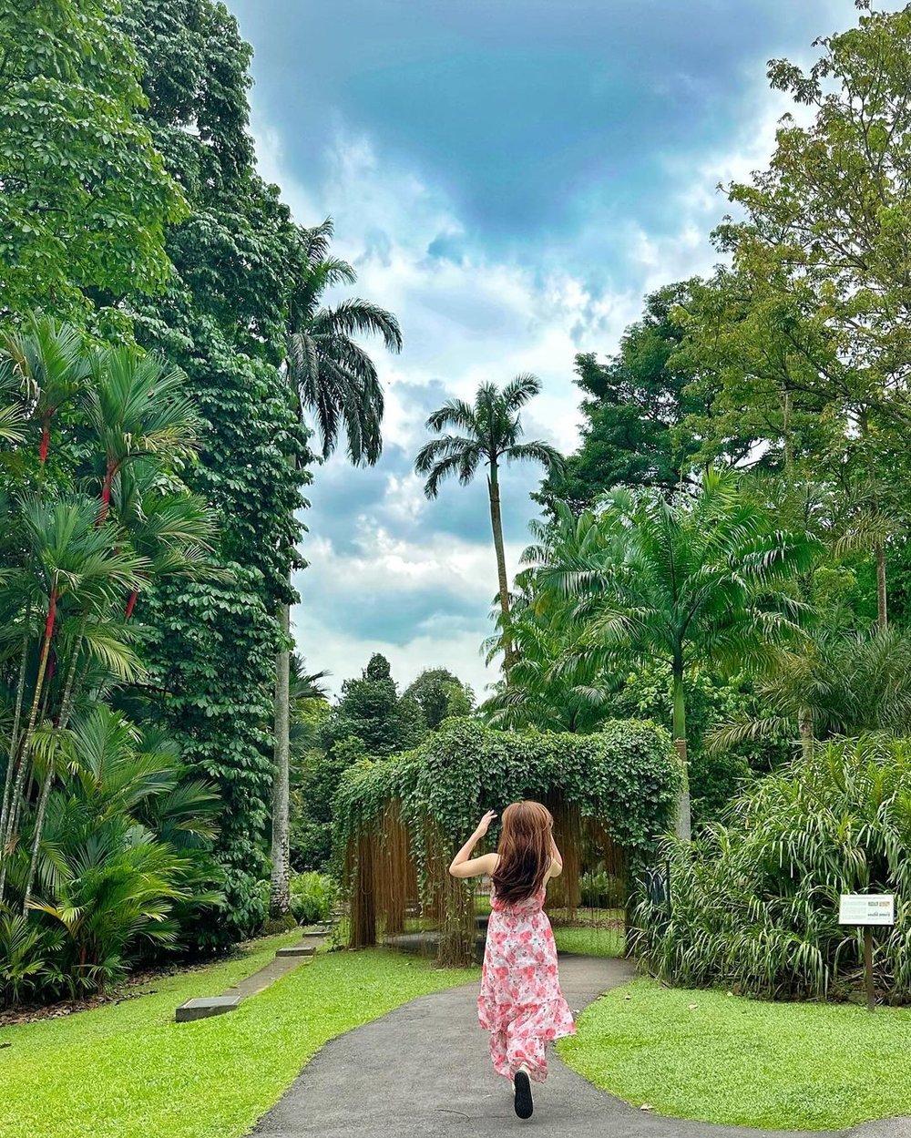 Singapore Botanic Gardens free thing to do in Singapore