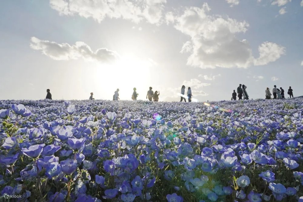 Isn't this just a sight to see?