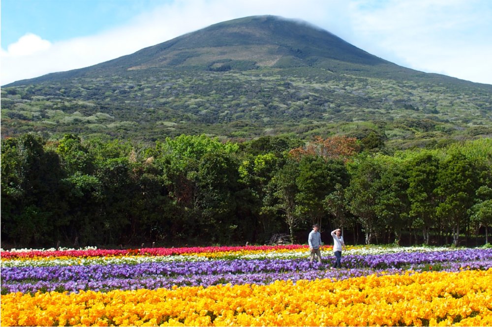 Imagine a perfect view like this