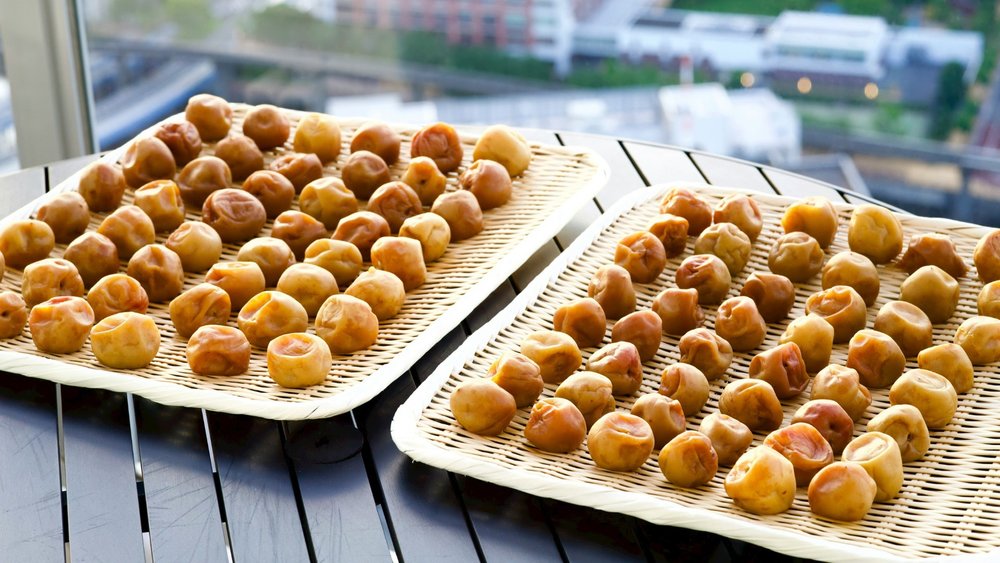 Don't knock it 'til ya try these cute little plums that defo pack a flavour punch! Credits to Richard Iwaki on Unsplash