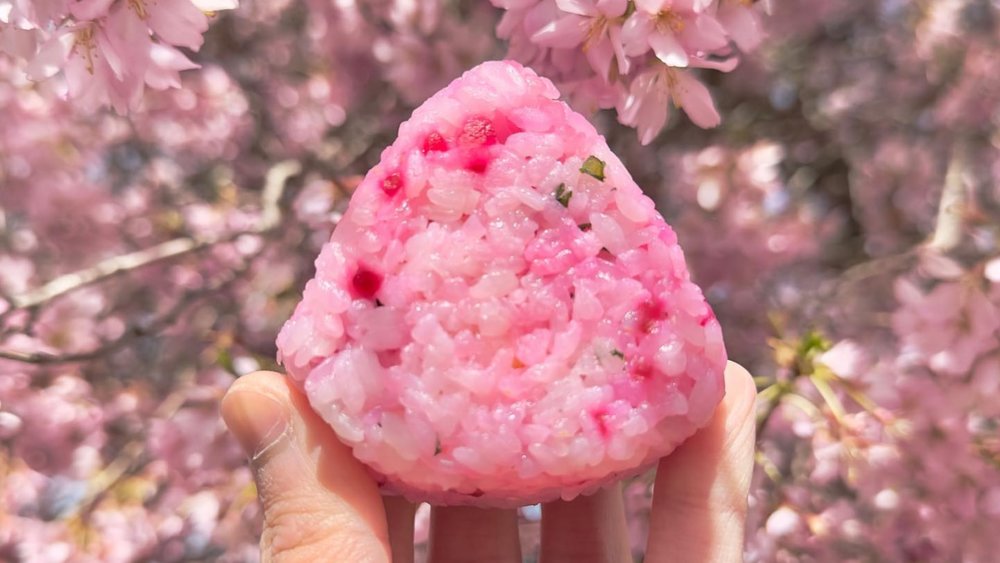 Have a bite of this cherry blossom-themed Japanese food for hanami! Credits to @seefoodstagram on Instagram