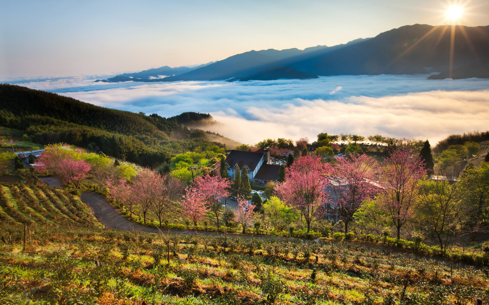 Đi Bộ Dọc Núi Wufeng