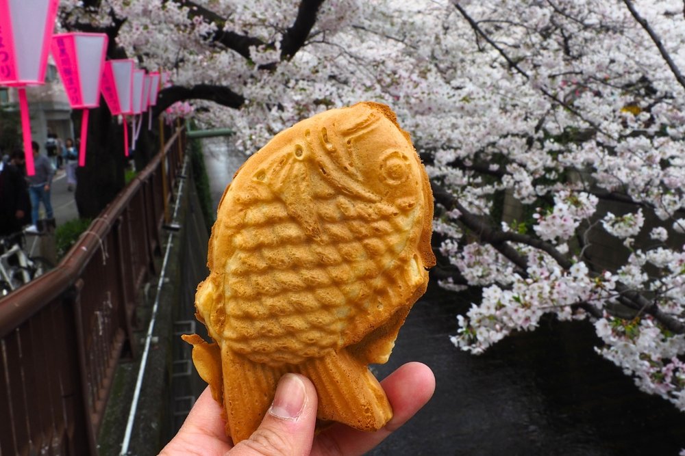 Tokyo Meguro River Cherry Blossom Taiyaki