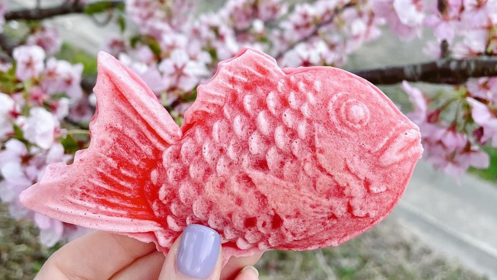 spring in japan - hand holding pink taiyaki