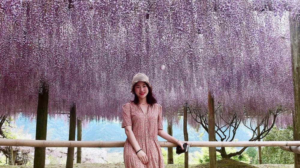 Be transported to a purple wonderland of wisteria! Credits to @jelly__been__ on Instagram
