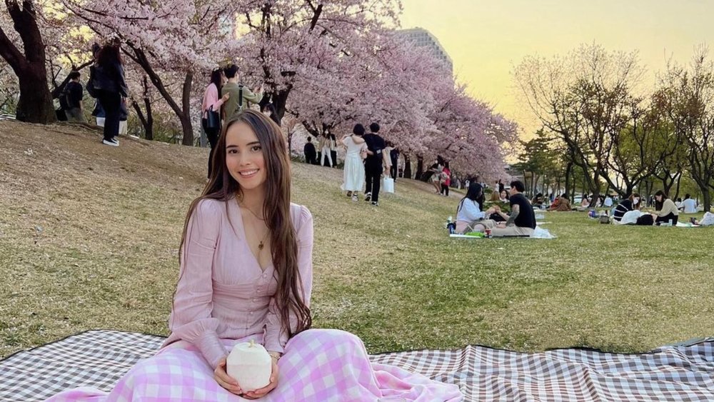 Every day is a great day for a picnic during the Yeouido Cherry Blossom Festival. Credits to @alexandraolesen on Instagram