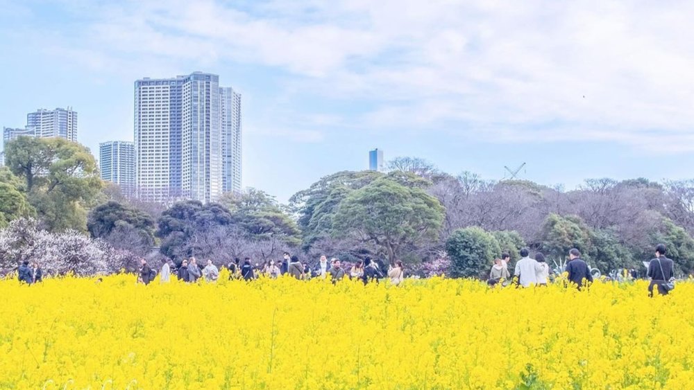 Find beauty in every corner at Hamarikyu Garden. Image credits to @lilietlulu_karin on Instagram.